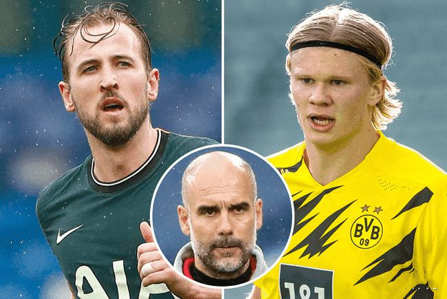 爱好者人数 爱好者人数