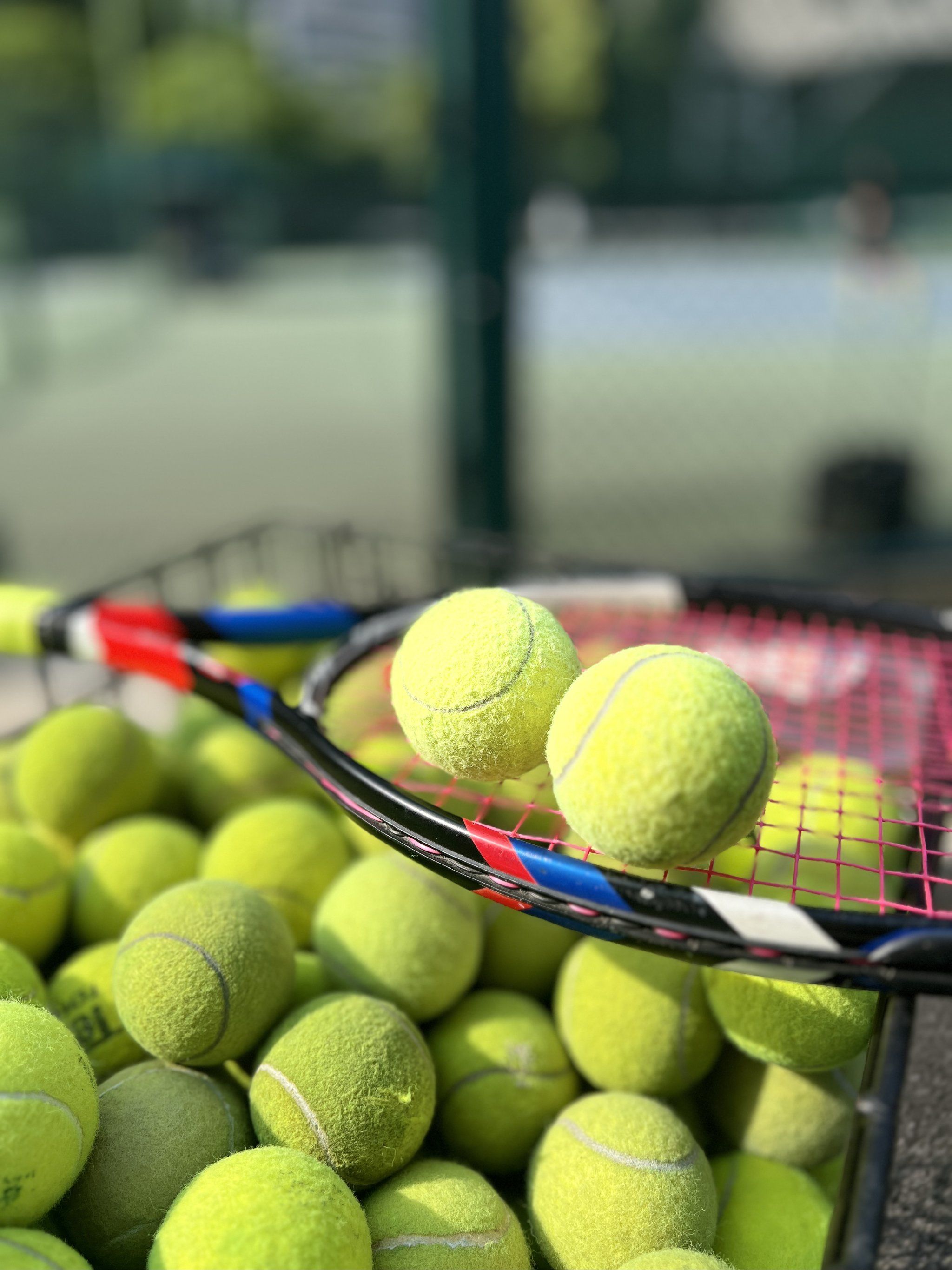 处境变得微 处境变得微